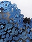 preiswerte BHs-Damen BHs mit Spitze Bügel-BH Fixierter Gurt Einstellbar Komplett bedeckend V Ausschnitt Atmungsaktiv Push-Up Hosen Einfarbig Blume Haken &amp; Öse Verabredung Casual Nylon Sexy 1 Stück Weiß Blau / 1 PC