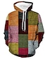 cheap Graphic Hoodies-Men&#039;s Hoodie Pullover Hoodie Sweatshirt Green Blue Purple Rainbow Orange Hooded Graphic Plaid Color Block Lace up Casual Daily Holiday 3D Print Sportswear Casual Big and Tall Fall &amp; Winter Clothing
