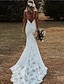 cheap Wedding Dresses-Mermaid / Trumpet Wedding Dresses V Neck Spaghetti Strap Court Train Lace Sleeveless Beach Sexy Backless with Appliques 2022