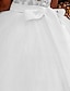 Χαμηλού Κόστους Φορέματα για πάρτι-Παιδιά Λίγο Κοριτσίστικα Φόρεμα Φλοράλ Μονόχρωμο Φόρεμα σε γραμμή Α Πάρτι Γενέθλια Σουρωτά Δίχτυ Δαντέλα Λευκό Ανθισμένο Ροζ Μακρύ Κοντομάνικο Πριγκίπισσα χαριτωμένο στυλ Φορέματα Φθινόπωρο Καλοκαίρι