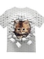 お買い得  女の子の 3d T シャツ-女の子 3D 動物 猫 Tシャツ 半袖 3Dプリント 夏 春 活発的 ファッション かわいいスタイル ポリエステル 子供 3〜12年 アウトドア 日常 屋内 レギュラー