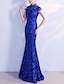 cheap Party Dresses-Mermaid / Trumpet Evening Gown Vintage Dress Wedding Guest Formal Evening Floor Length Short Sleeve High Neck Tulle with Embroidery 2024