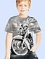 voordelige jongens 3d t-shirts-Jongens T-shirt Korte mouw T-shirt 3D Print 3D-afdrukken Actief Sport Modieus Polyester Buiten Dagelijks Voor Binnen Kinderen 3-12 jaar 3D-geprinte afbeelding Normale pasvorm Overhemd