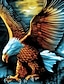 levne zvíře a mupeti-pánské tričko eagle animal crew krk krátký rukáv street print topy sportovní oblečení ležérní móda pohodlné modré léto jaro grafická trička