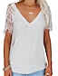 cheap Women&#039;s Clothing-Women&#039;s  popular short-sleeved v-neck feather lace lace sleeve t-shirt