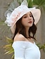 Недорогие Панамы-Жен. Шляпа Шляпа от солнца Компактность Защита от солнца Комфорт на открытом воздухе На каждый день Праздники Чистый цвет Цветочный Цветочный принт