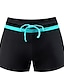 cheap Women&#039;s Shorts-Women&#039;s Normal Swimwear Swim Shorts Shorts Swimsuit Quick Dry Solid Color Beach Wear Summer Bathing Suits