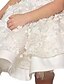 cheap Dresses-Kids Girls&#039; Dress Floral Flower Sleeveless Special Occasion Birthday Lace Cute Princess Cotton Lace Knee-length Floral Embroidery Dress A Line Dress Summer 2-6 Years White