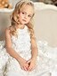 cheap Dresses-Kids Girls&#039; Dress Floral Flower Sleeveless Special Occasion Birthday Lace Cute Princess Cotton Lace Knee-length Floral Embroidery Dress A Line Dress Summer 2-6 Years White