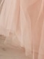 זול שמלות לילדות פרחים-שמלת טוטו של ילדות קטנות לחתונה מסיבה בצבע אחיד אירוע מיוחד ללא גב רשת מרופדת ורודה תחרה מקסי ללא שרוולים אלגנטית נסיכה יפה ורד מאובק בהתאמה רגילה 3-10 שנים