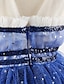 Χαμηλού Κόστους Φορέματα-Παιδιά Κοριτσίστικα Φόρεμα Συνδυασμός Χρωμάτων Αμάνικο Γενέθλια Πούλιες Σουρωτά Δίχτυ χαριτωμένο στυλ Πριγκίπισσα Πολυεστέρας Ως το Γόνατο Φόρεμα σε γραμμή Α Φόρεμα τούλι Καλοκαίρι Φθινόπωρο 3-10