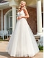cheap Wedding Dresses-A-Line Wedding Dresses V Neck Floor Length Tulle Sleeveless Romantic Wedding Dress in Color Plus Size with Lace Embroidery 2022