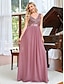 cheap Wedding Guest Dresses-A-Line Prom Dresses Elegant Dress Wedding Guest Floor Length Sleeveless V Neck Chiffon V Back with Draping Pure Color 2023