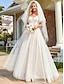 cheap Lace Wedding Dresses-A-Line Wedding Dresses V Neck Floor Length Tulle Sleeveless Romantic Wedding Dress in Color Plus Size with Lace Embroidery 2022