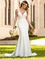 cheap Wedding Dresses-Engagement Open Back Sexy Formal Wedding Dresses Mermaid / Trumpet V Neck Sleeveless Court Train Lace Bridal Gowns With Appliques 2024