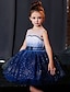 Χαμηλού Κόστους Φορέματα-Παιδιά Κοριτσίστικα Φόρεμα Συνδυασμός Χρωμάτων Αμάνικο Γενέθλια Πούλιες Σουρωτά Δίχτυ χαριτωμένο στυλ Πριγκίπισσα Πολυεστέρας Ως το Γόνατο Φόρεμα σε γραμμή Α Φόρεμα τούλι Καλοκαίρι Φθινόπωρο 3-10