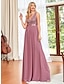 cheap Wedding Guest Dresses-A-Line Prom Dresses Elegant Dress Wedding Guest Floor Length Sleeveless V Neck Chiffon V Back with Draping Pure Color 2023