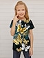 Недорогие 3d футболки для девочек-детская футболка для девочек с коротким рукавом объемный принт бабочка животное зеленый синий белый детские топы весна лето активная мода уличная одежда повседневная в помещении на открытом воздухе