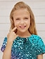 お買い得  女の子の 3d T シャツ-子供 女の子 Tシャツ 半袖 3Dプリント カラーブロック ブルー パープル ピンク 子供達 トップの 春 夏 活発的 ファッション ストリートファッション 日常 屋内 アウトドア レギュラー 3〜12年 / かわいいスタイル