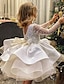 baratos Vestidos-Infantil Pouco Para Meninas Vestido Poá Cor Sólida Vestido A Line Espetáculo Franzido Com Transparência Branco Tule Acima do Joelho Manga Longa Princesa Doce Vestidos Outono Primavera Normal 3-12 anos