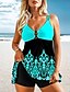 cheap Tankinis-Women&#039;s Swimwear Plus Size Tankini 2 Piece Swimsuit Fruit 2 Piece Open Back Printing for Big Busts Green Blue Rose Red V Wire Padded Bathing Suits Casual Vacation Sports / Modern / Spa / New
