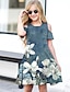 cheap Girl&#039;s 3D Dresses-Kids Little Girls&#039; Dress Floral A Line Dress Daily Holiday Vacation Print Green Blue White Above Knee Short Sleeve Casual Cute Sweet Dresses Spring Summer Regular Fit 3-12 Years