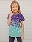 tanie dziewczęce koszulki 3d-Dzieci Dla dziewczynek Podkoszulek Krótki rękaw Druk 3D Kolorowy blok Niebieski Fioletowy Rumiany róż Dzieci Najfatalniejszy Wiosna Lato Aktywny Moda Moda miejska Codzienny w pomieszczeniach Na