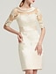 cheap Wedding Guest Dresses-Sheath / Column Cocktail Dresses Elegant Dress Wedding Guest Knee Length Half Sleeve Jewel Neck Satin with Appliques Pure Color 2022 / Cocktail Party