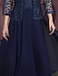 cheap Midi Dresses-Women&#039;s Party Dress Lace Dress Dress Set Midi Dress Navy Blue 3/4 Length Sleeve Pure Color Lace Winter Fall Autumn U Neck 2022 S M L XL XXL 3XL