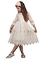 cheap Girls&#039; Dresses-Kids Little Dress Girls&#039; Color Block Daily Tulle Dress Lace White Gold Red Above Knee Half Sleeve Princess Sweet Dresses Spring Summer Slim 2-8 Years