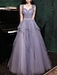 cheap Prom Dresses-A-Line Prom Dresses Sparkle &amp; Shine Dress Wedding Guest Birthday Floor Length Sleeveless Off Shoulder Tulle with Sequin 2024