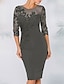 Χαμηλού Κόστους Κοκτέιλ Φορέματα-θήκη κοκτέιλ κομψό φόρεμα ημι επίσημο μακρυμάνικο μαύρο midi φόρεμα κέντημα ψευδαίσθηση λαιμόκοψη με χάντρες δαντέλα 2022