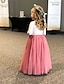 cheap Flower Girl Dresses-Kids Girls&#039; Flower Dress Backless Tulle Dress Party Ruched Mesh Lace Green White Blue Maxi Long Sleeve Princess Cute Dresses Party Dress Online Regular Fit 4-13 Years