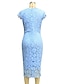 cheap Wedding Guest Dresses-Sheath / Column Cocktail Dresses Vintage Dress Wedding Guest Tea Length Short Sleeve Jewel Neck Lace with Lace Insert Pure Color 2023