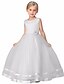 cheap Girls&#039; Dresses-Kids Little Dress Girls&#039; Solid Colored Flower Daily Tulle Dress Layered Lace White Purple Red Sleeveless Basic Dresses 3-12 Years