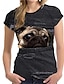 billige piges 3d t-shirts-Pige 3D Dyr Kat Hund T-shirt Kortærmet 3D-udskrivning Sommer Forår Aktiv Mode Sød Stil Polyester Børn 3-12 år udendørs Daglig Regulær
