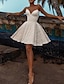 cheap Homecoming Dresses-A-Line Cocktail Dresses Elegant Dress Wedding Cocktail Party Short / Mini Short Sleeve V Neck Fall Wedding Reception Lace with Embroidery 2024