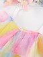 cheap Dresses-Kids Little Girls&#039; Dress Rainbow Patchwork A Line Dress Daily Patchwork Purple Pink Tulle Cotton Asymmetrical Sleeveless Beautiful Cute Dresses Spring Summer Regular Fit 2-8 Years