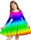 cheap Girl&#039;s 3D Dresses-Kids Girls&#039; Dress Graphic Rainbow Long Sleeve Daily Holiday Vacation Print Cute Casual Sweet Polyester Above Knee Swing Dress A Line Dress Spring Fall 3-10 Years Pink Blue Rainbow
