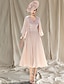 cheap Mother of Bride Dresses with Jacket-Two Piece A-Line Mother of the Bride Dress Wedding Guest Church Elegant V Neck Tea Length Chiffon Sleeveless Wrap Included with Appliques 2024