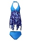 cheap Tankinis-Women&#039;s Swimwear Tankini 2 Piece Plus Size Swimsuit Floral Print Push Up Open Back for Big Busts Print Blue V Wire Halter Bathing Suits Vacation Casual New