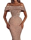 billige Aftenkjoler-havfrue festkjole aftenkjole gnistre&amp;amp; shine kjole ball fødselsdag asymmetrisk kortermet off shoulder paljett med paljett 2024