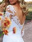 cheap Wedding Dresses-Open Back Formal Wedding Dresses A-Line Illusion Neck Long Sleeve Court Train Lace Bridal Gowns With Beading Appliques 2024