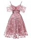 Χαμηλού Κόστους Ρομαντικά Δαντελένια Φορέματα-Γυναικεία Φόρεμα Φόρεμα για πάρτυ Δαντέλα Με Βολάν Λαιμόκοψη V Κοντομάνικο Μίντι φόρεμα Διακοπές Παραλία Ανθισμένο Ροζ Ρουμπίνι Καλοκαίρι Άνοιξη