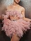 cheap Party Dresses-A-Line Party Dresses Sexy Dress Graduation Short / Mini Sleeveless Strapless Tulle with Feather Pure Color 2023