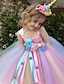 cheap Girls&#039; Dresses-Kids Toddler Little Dress Girls&#039; Rainbow Unicorn Party Special Occasion Halloween Mesh Blue Purple Pink Maxi Sleeveless Princess Sweet Dresses 3-12 Years