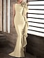 Χαμηλού Κόστους Βραδινά Φορέματα-Τρομπέτα / Γοργόνα Βραδινά φορέματα Κομψό Φόρεμα Αρραβώνας Επίσημο Βραδινό Ουρά Αμάνικο Με Κόσμημα Φθινοπωρινός καλεσμένος γάμου Ελαστικό Σατέν με Διακοσμητικά Επιράμματα 2024