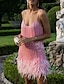 cheap Party Dresses-A-Line Party Dresses Sparkle &amp; Shine Dress Prom Wedding Party Short / Mini Sleeveless Spaghetti Strap Sequined with Feather Fringe Sequin 2024