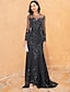 Χαμηλού Κόστους Βραδινά Φορέματα-γοργόνα μαύρο φόρεμα βραδινό φόρεμα κομψό φόρεμα επίσημο αποκριάτικο σκούπισμα / τρένο με πινέλο μακρυμάνικο κόσμημα στο λαιμό δαντέλα με κέντημα με χάντρες 2024