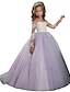 cheap Flower Girl Dresses-Ball Gown Sweep / Brush Train Flower Girl Dress First Communion Girls Cute Prom Dress Lace with Lace Mini Bridal Fit 3-16 Years